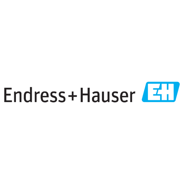 Endress+Hauser